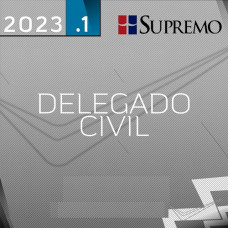 DELEGADO CIVIL REGULAR - SUPREMO 2023